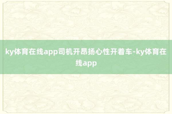ky体育在线app司机开昂扬心性开着车-ky体育在线app