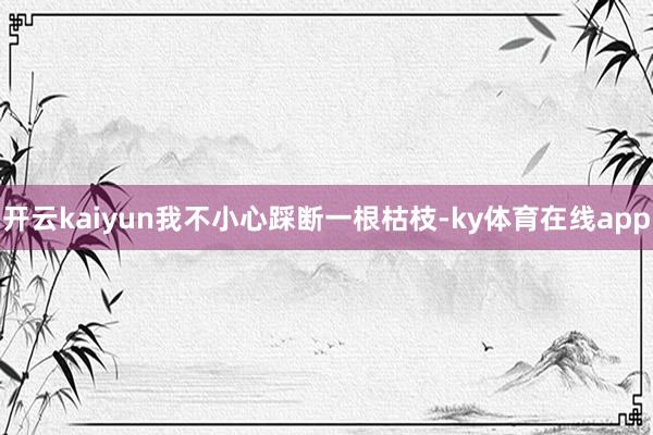 开云kaiyun我不小心踩断一根枯枝-ky体育在线app