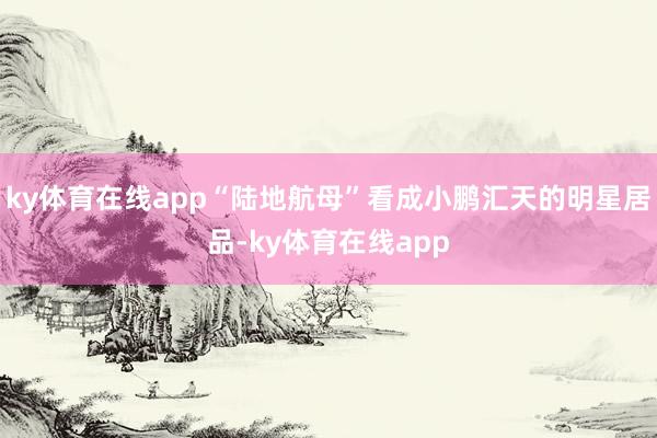ky体育在线app“陆地航母”看成小鹏汇天的明星居品-ky体育在线app