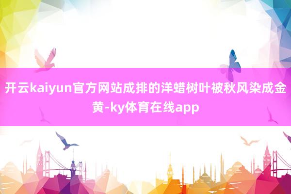 开云kaiyun官方网站成排的洋蜡树叶被秋风染成金黄-ky体育在线app
