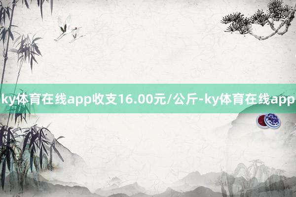 ky体育在线app收支16.00元/公斤-ky体育在线app