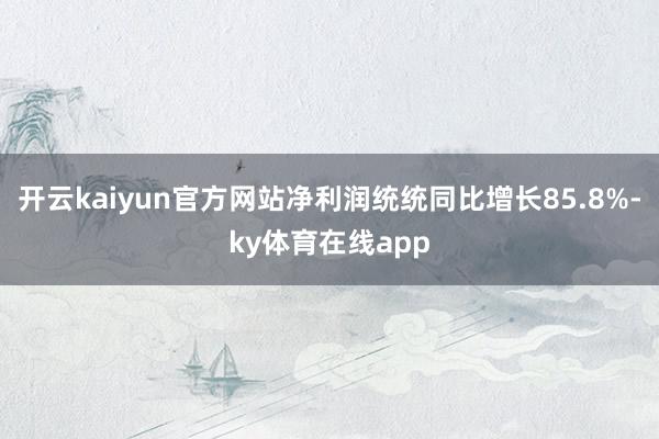 开云kaiyun官方网站净利润统统同比增长85.8%-ky体育在线app