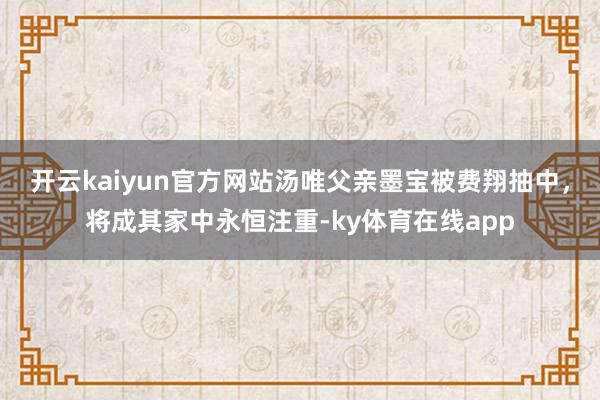 开云kaiyun官方网站汤唯父亲墨宝被费翔抽中，将成其家中永恒注重-ky体育在线app