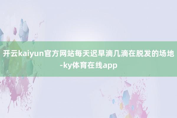 开云kaiyun官方网站每天迟早滴几滴在脱发的场地-ky体育在线app