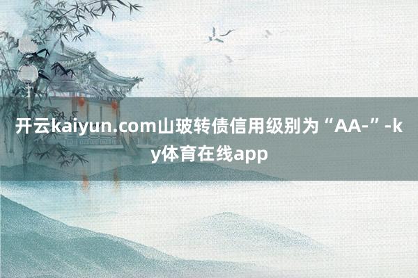 开云kaiyun.com山玻转债信用级别为“AA-”-ky体育在线app