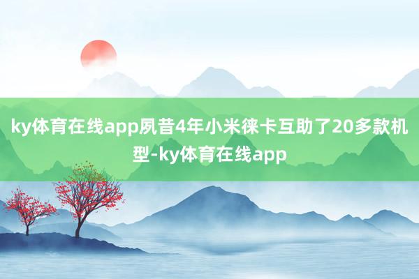 ky体育在线app夙昔4年小米徕卡互助了20多款机型-ky体育在线app