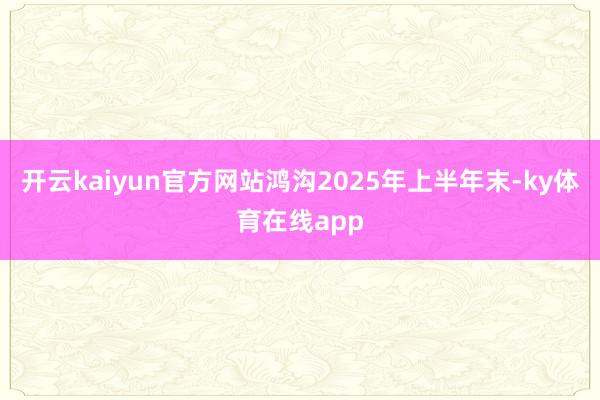 开云kaiyun官方网站鸿沟2025年上半年末-ky体育在线app