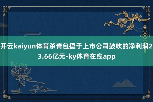 开云kaiyun体育杀青包摄于上市公司鼓吹的净利润23.66亿元-ky体育在线app