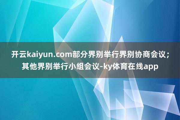 开云kaiyun.com部分界别举行界别协商会议；其他界别举行小组会议-ky体育在线app