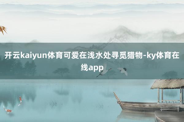 开云kaiyun体育可爱在浅水处寻觅猎物-ky体育在线app