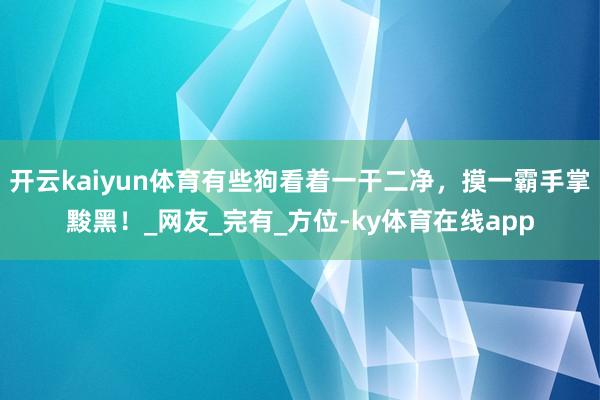 开云kaiyun体育有些狗看着一干二净，摸一霸手掌黢黑！_网友_完有_方位-ky体育在线app