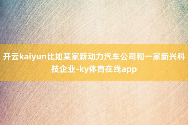 开云kaiyun比如某家新动力汽车公司和一家新兴科技企业-ky体育在线app