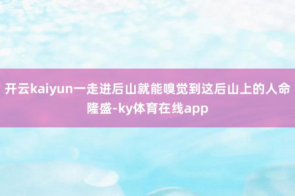 开云kaiyun一走进后山就能嗅觉到这后山上的人命隆盛-ky体育在线app