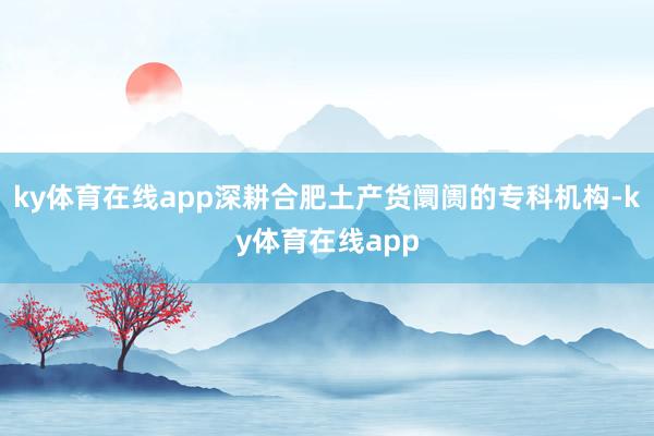 ky体育在线app深耕合肥土产货阛阓的专科机构-ky体育在线app