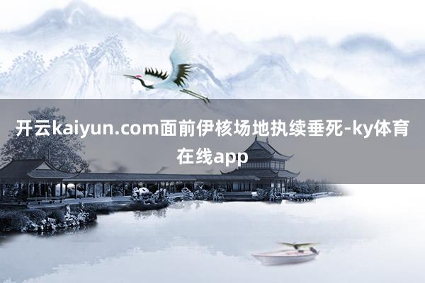开云kaiyun.com面前伊核场地执续垂死-ky体育在线app
